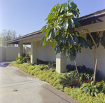 Carrollwood Village Clubhouse for Environmental Landscaping Systems, E by George Skip Gandy IV