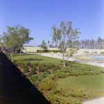 Carrollwood Village Community Pool for Environmental Landscaping Systems, O by George Skip Gandy IV