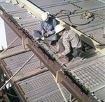 Exchange National Bank Steel Structure, Tampa, L by George Skip Gandy IV