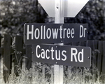 Hollowtree Dr and Cactus Dr Street Sign by George Skip Gandy IV