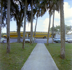 School Construction Site in Homosassa Area, A by George Skip Gandy IV