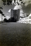 Bayshore Townhouses and Condos by George Skip Gandy IV