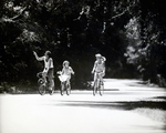 Family on Bicycles, A by George Skip Gandy IV