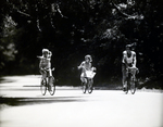 Family on Bicycles, B by George Skip Gandy IV