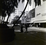 Franklin St 500 Block Downtown, A by George Skip Gandy IV