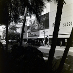 Franklin St 500 Block Downtown, B by George Skip Gandy IV