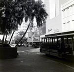 Franklin St 500 Block Downtown, G by George Skip Gandy IV