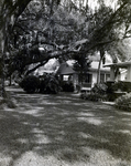 House and Large Tree by George Skip Gandy IV