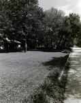 Lawn on Residential Street by George Skip Gandy IV
