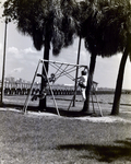 Children on Swings at Ballast Point Park, B by George Skip Gandy IV
