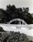 Lowry Park Rainbow Bridge, D by George Skip Gandy IV