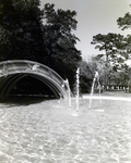 Lowry Park Rainbow Bridge, E by George Skip Gandy IV