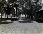Public Park with Pavilions by George Skip Gandy IV