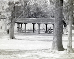 Park Pavilion by George Skip Gandy IV