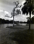 Hillsborough River, A by George Skip Gandy IV