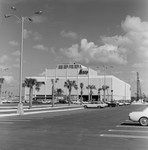 Maas Brothers Building Nearing Completion, N by George Skip Gandy IV