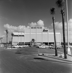 Maas Brothers Building Nearing Completion, Q by George Skip Gandy IV