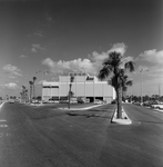 Maas Brothers Building Nearing Completion, R by George Skip Gandy IV