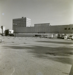 Maas Brothers Department Store, A by George Skip Gandy IV