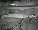 Pool in H.A. McNeely's Tampa Home by George Skip Gandy IV