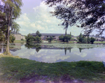Pond at M&M Management Property, D by George Skip Gandy IV