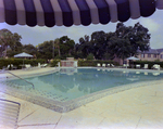 Pool at M&M Management Property, A by George Skip Gandy IV