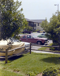 Miller, McKendree, Parked Cars behind Trees by George Skip Gandy IV