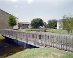 Miller, McKendree, Wooden Walkway over Lake, B by George Skip Gandy IV