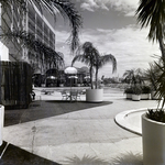 Manger Hotel and Motor Inn Waterfront Patio, D by George Skip Gandy IV