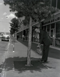 Man Waters Tree outside Marine Bank Building in Tampa by George Skip Gandy IV