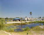 Pond in Front of Marina Club Condominiums in Tampa, A by George Skip Gandy IV