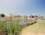 Pond in Front of Marina Club Condominiums in Tampa, D by George Skip Gandy IV