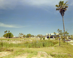 Pond in Front of Marina Club Condominiums in Tampa, G by George Skip Gandy IV
