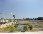 Pond in Front of Marina Club Condominiums in Tampa, H by George Skip Gandy IV