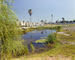 Pond in Front of Marina Club Condominiums in Tampa, J by George Skip Gandy IV