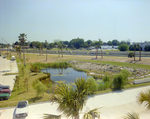 Pond in Front of Marina Club Condominiums in Tampa, K by George Skip Gandy IV