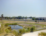 Pond in Front of Marina Club Condominiums in Tampa, L by George Skip Gandy IV
