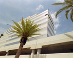 South and East Wall of Westshore 500 Building in Tampa for Marling, A by George Skip Gandy IV