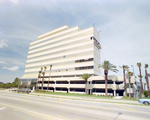 East Wall of Westshore 500 Building in Tampa for Marling, G by George Skip Gandy IV