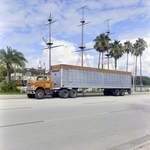 Mercury Motor Express Truck on Bayshore Boulevard, E by George Skip Gandy IV