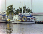 Shoreline View of Belize City for Misener Marine Construction, E by George Skip Gandy IV