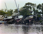 Shoreline View of Belize City for Misener Marine Construction, F by George Skip Gandy IV
