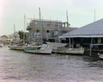 Shoreline View of Belize City for Misener Marine Construction, I by George Skip Gandy IV