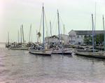 Shoreline View of Belize City for Misener Marine Construction, J by George Skip Gandy IV