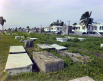 Yarborough Cemetery in Belize City by George Skip Gandy IV