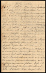 Summary of July 1891 Letters, Albert Hafner to Elizabeth Chandler, July 1891 by Elizabeth H. Chandler
