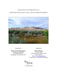 2007 Willow Flycatcher Surveys at Bluewater Canyon, Lost Valley, and San Ysidro, New Mexico by Hawks Aloft, Inc.
