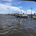 Tied to dock in Louisianna