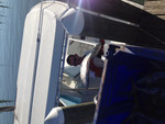 Captain Revels unloading kingfish Fisherman's Warf Ft. Peirce January 2017