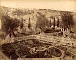 Jardin de Gethsemané, vue générale. - The garden of Gethsemane, general view by Félix Bonfils